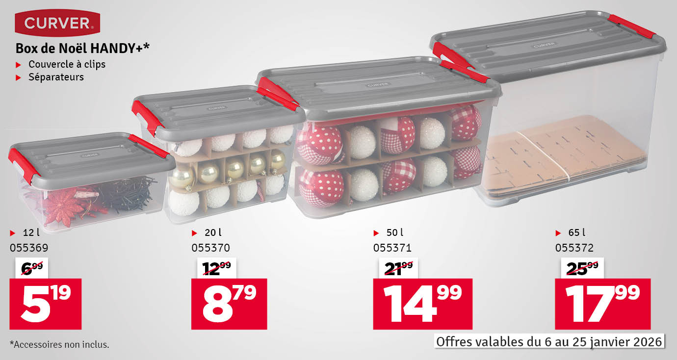 Box de rangement de Noël Handy+ CURVER